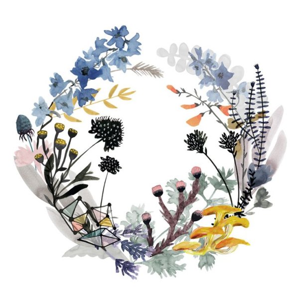 Травы венок акварель