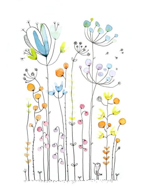 Сухоцветы для рисования