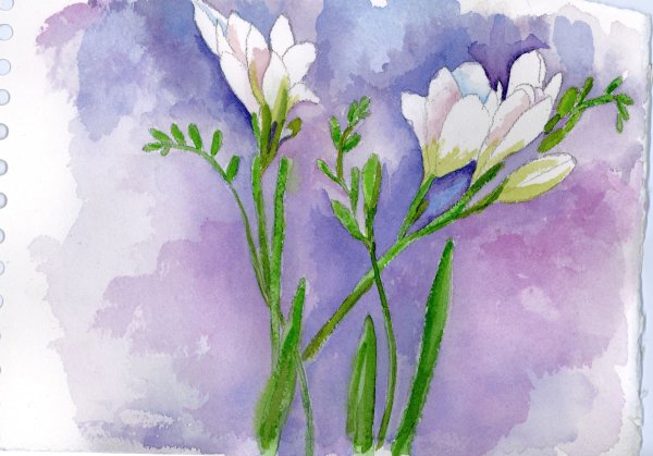 Цветок фрезия акварелью