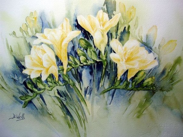 Фрезии акварель