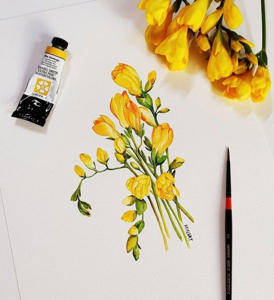 Фрезия акварель