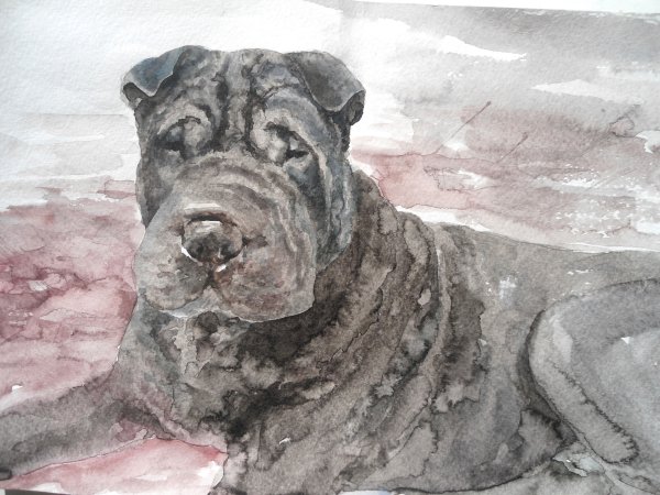 Алмазная мозаика шарпей