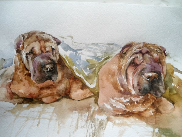 Футболка с шарпеем