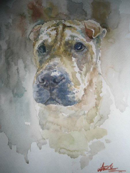 Шарпей Постер акварель