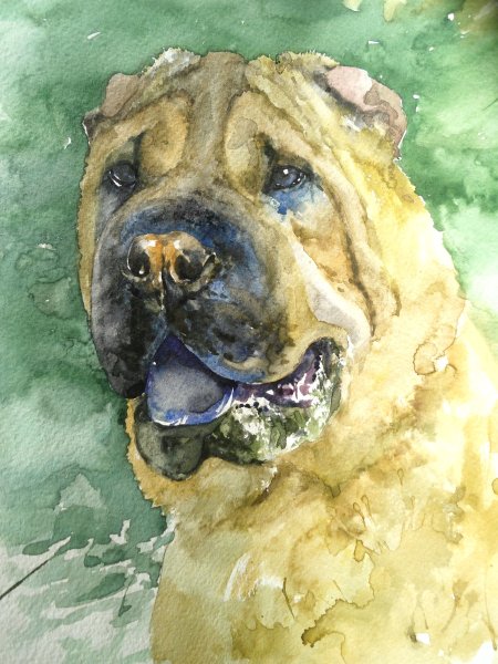 Рисунок акрилом шарпей