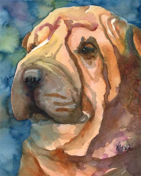 Шарпей картина