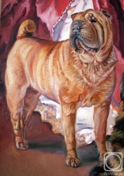 Шарпей шарж