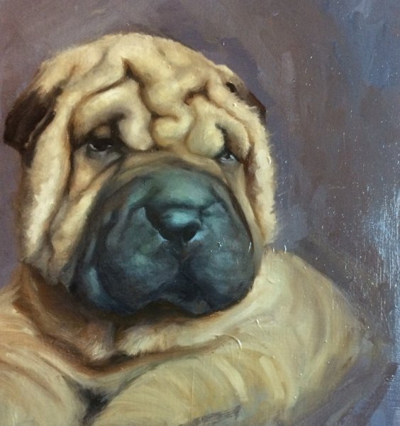 Шарпей антистресс