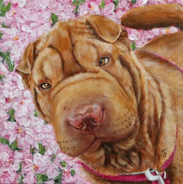 Шарпей картины маслом