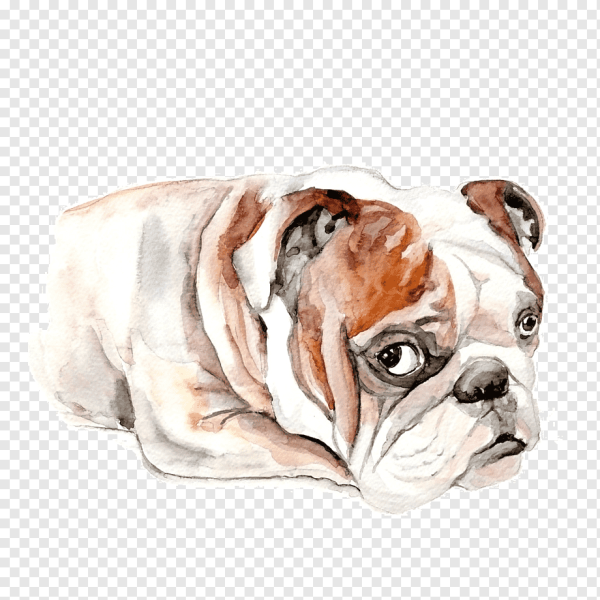 Шарпей картины маслом