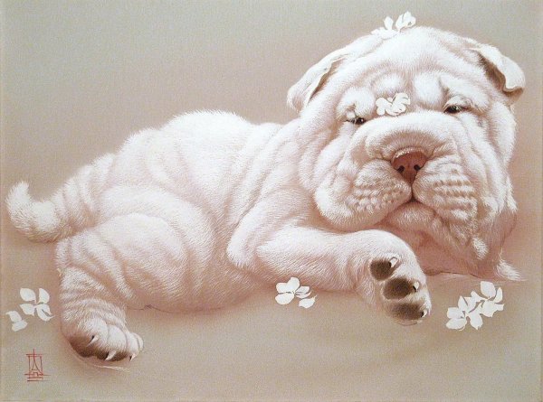 Шарпей гуашью