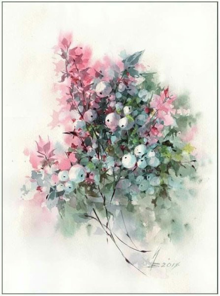 Снежноягодник акварель