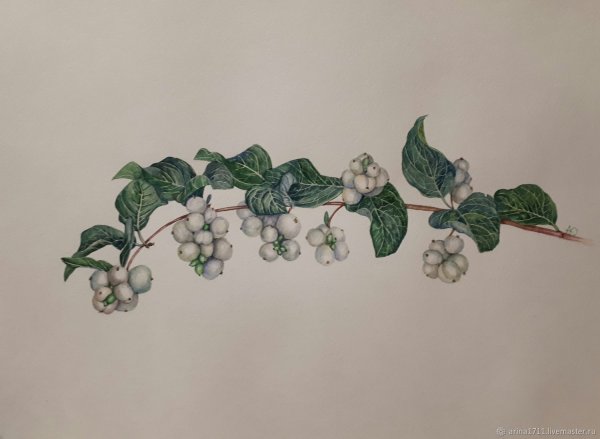 Фасоль арт скетч