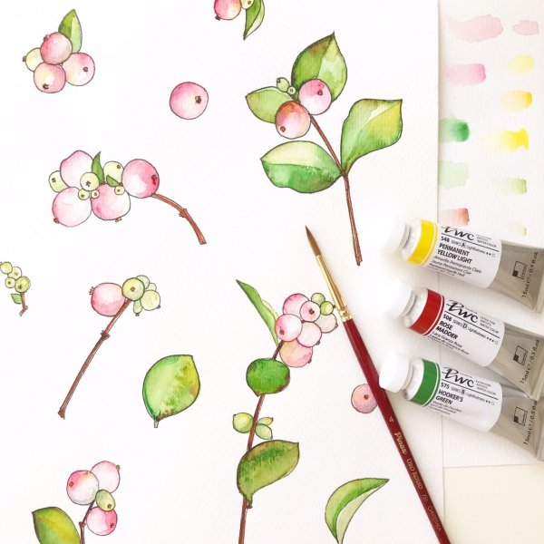 Гипсофила и эвкалипт акварель