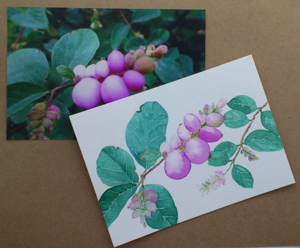 Снежноягодник брошь