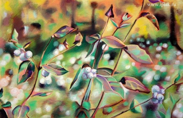 Инна Петрашкевич акварель