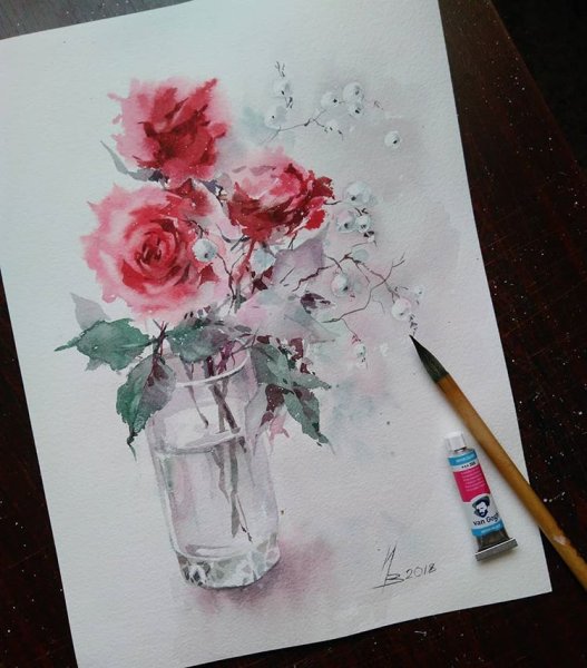 Снежноягодник Ботаническая иллюстрация