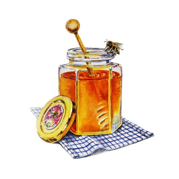 Баночка с медом акварель