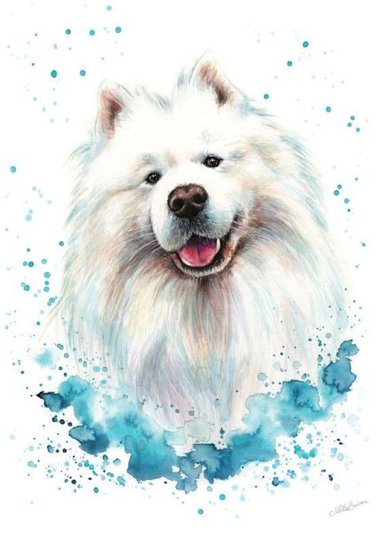 Самоед акварелью