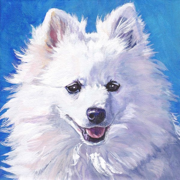 Японский шпиц рисунок