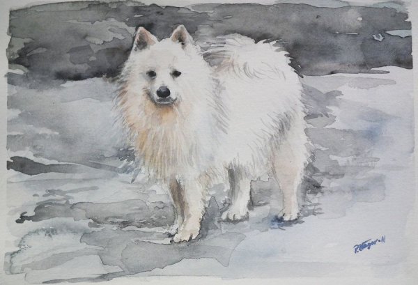 Японский шпиц живопись