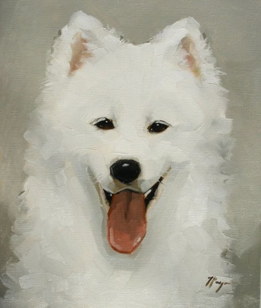 Самоед референс