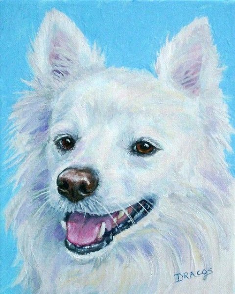 Японский шпиц живопись