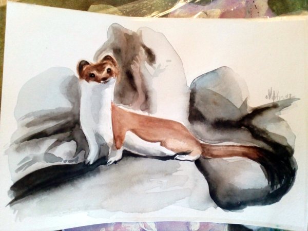 Горностай художник Смирин