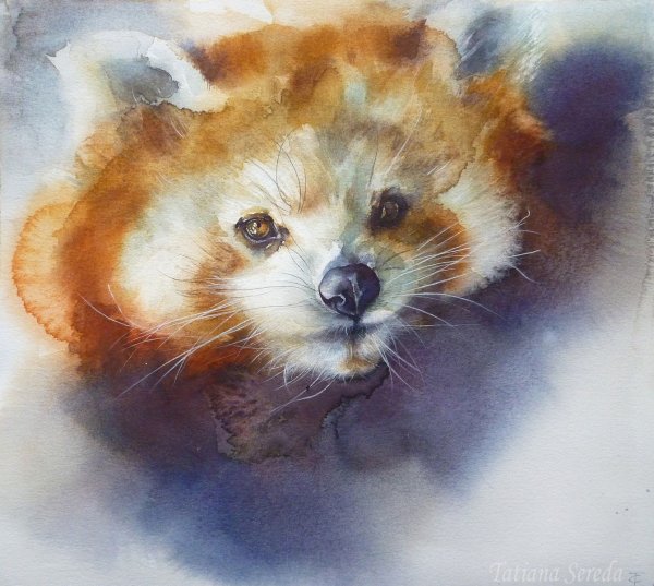Красная Панда акварель