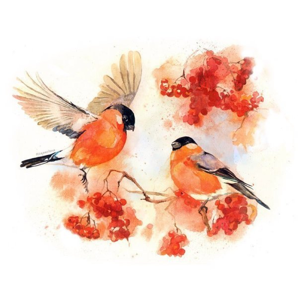 Птицы зимой акварель