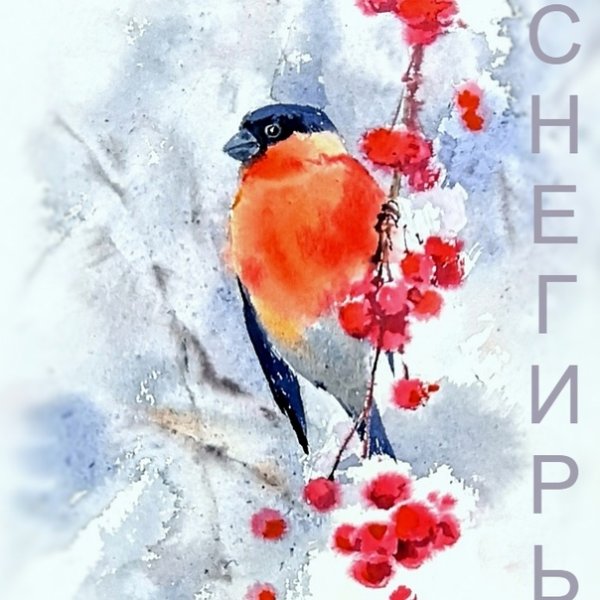 Рябина в снегу акварель