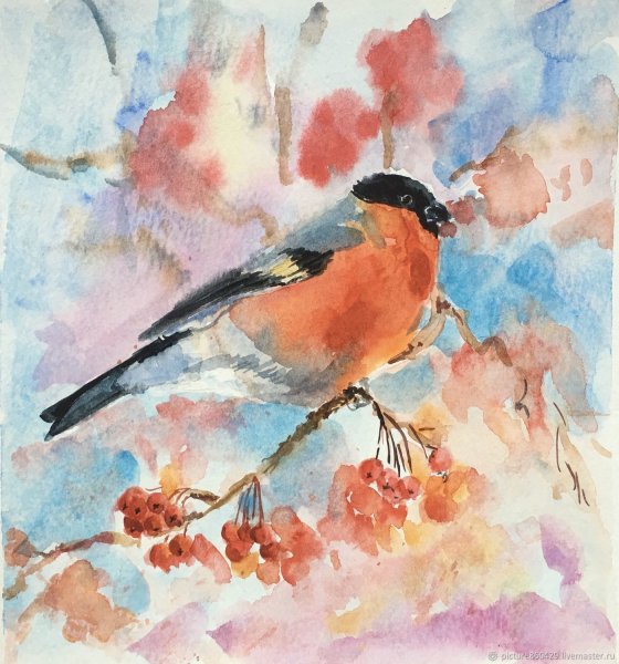 Снегирь Андрияки акварель