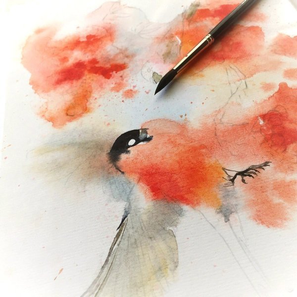Рисование снегиря акварелью