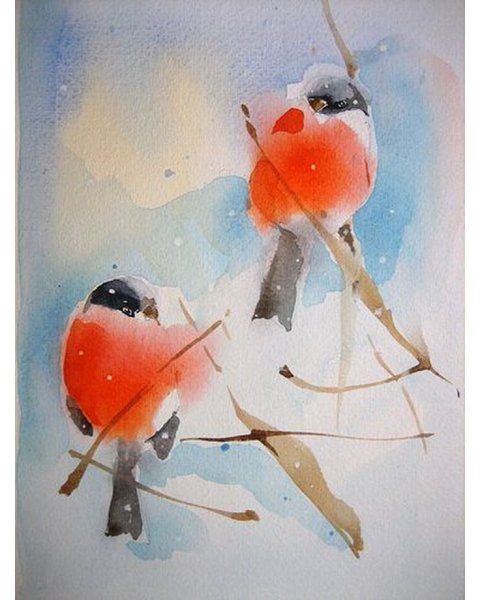 Снегирь акварель