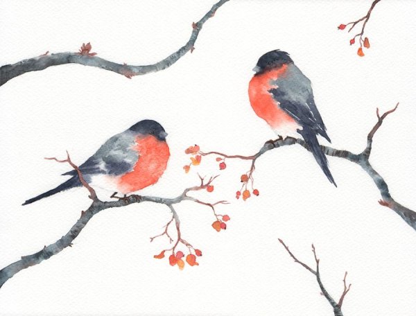 Снегири в японской живописи