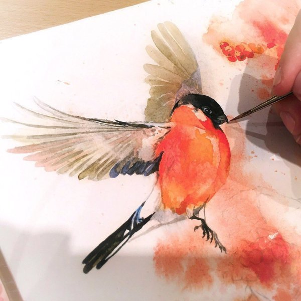 Снегирь гуашью