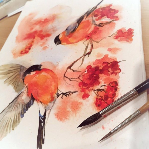 Акварель туториал Снегири