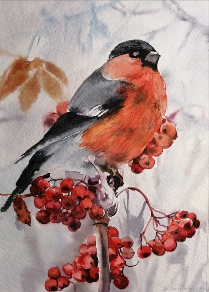 Снегири зимой на рябине акварель