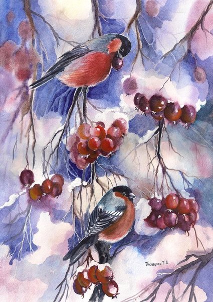 Снегирь Андрияки акварель