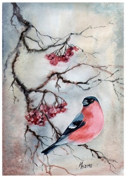 Снегирь на ветке акварель