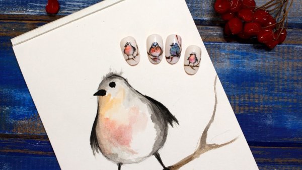 Снегирь акварелью поэтапно