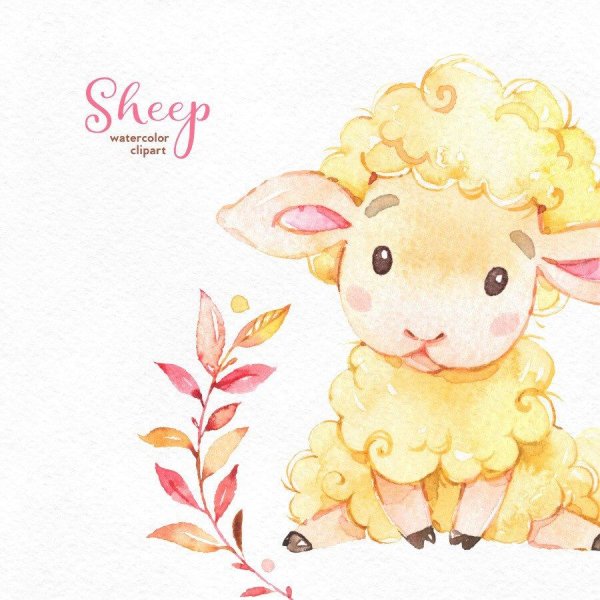 Милая Овечка акварелью