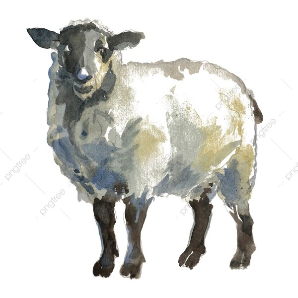 Овца акварель