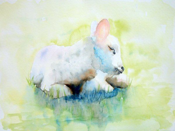 Ягненок акварель