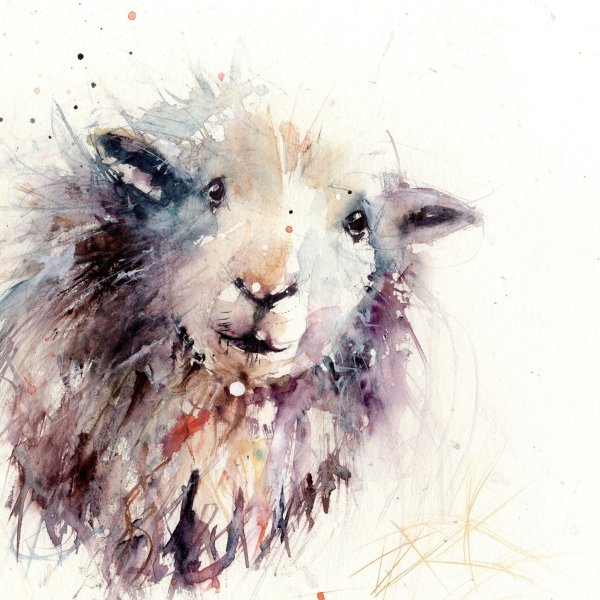 Овечка акварелью