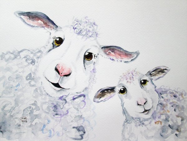 Келли Кокрелл Овечка