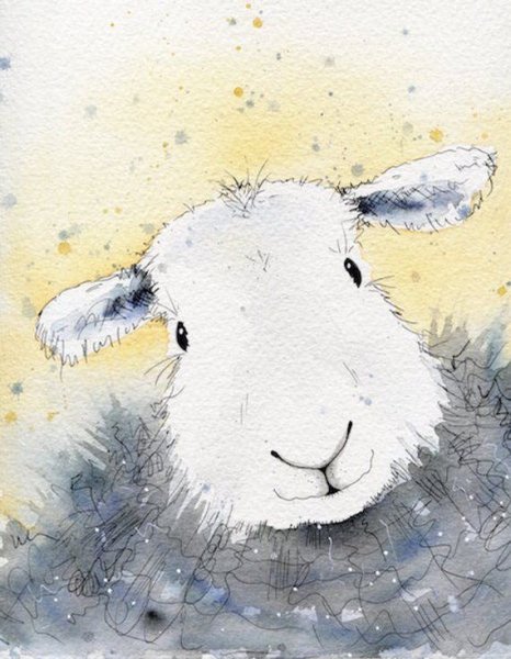 Овечка иллюстрация