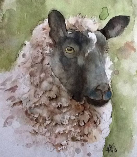 Овечка акварелью