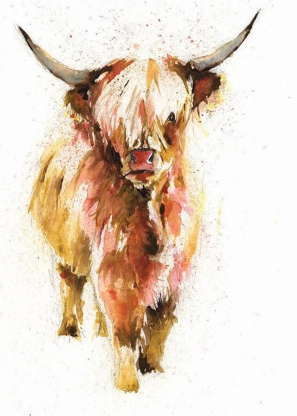 Бык акварель