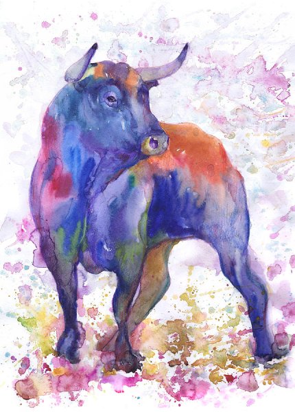Бык акварель